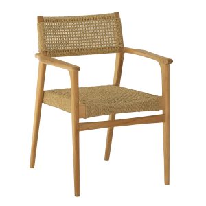 GEMPOL SYNTHETIC RATTAN ARM CHAIR